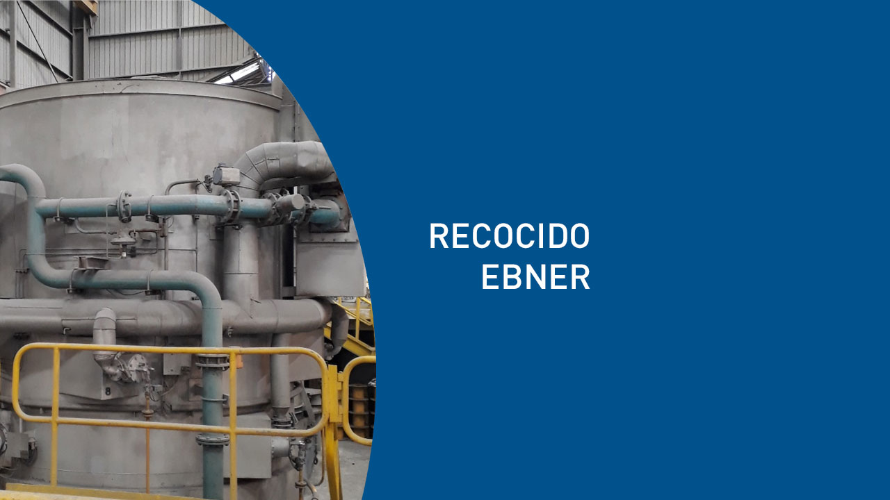 Recocido Horno Ebner